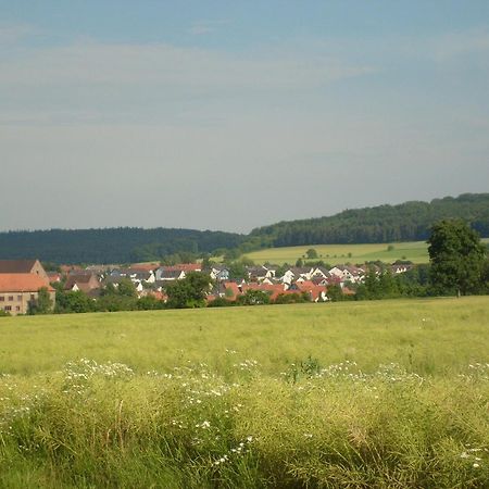 Гостьовий будинок Winzerhof Spengler Kulsheim Екстер'єр фото